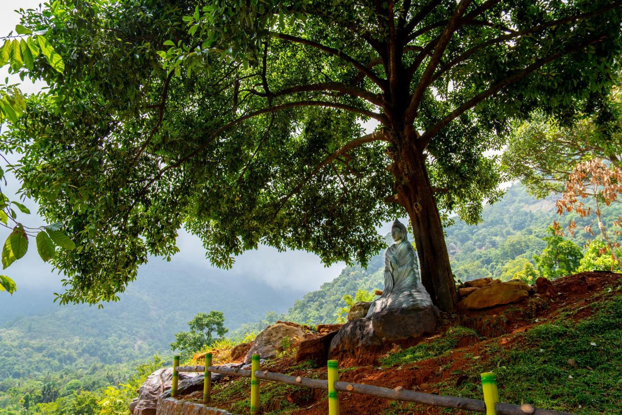Karimb Resorts Vallikavungal Εξωτερικό φωτογραφία